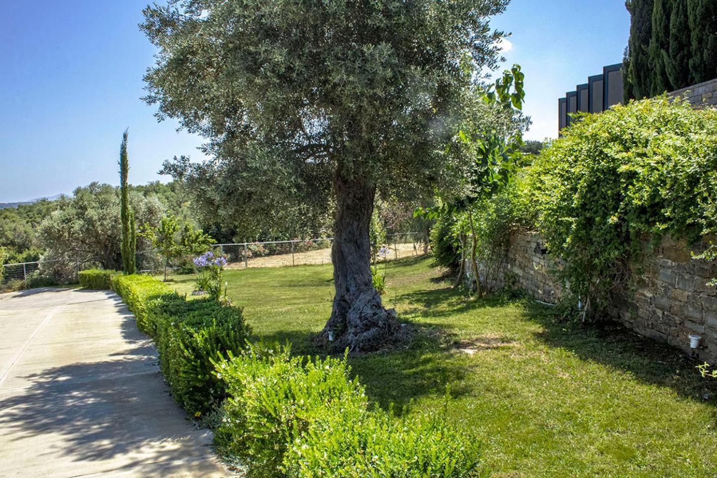 Arion Krini Villa Amnátos Kültér fotó