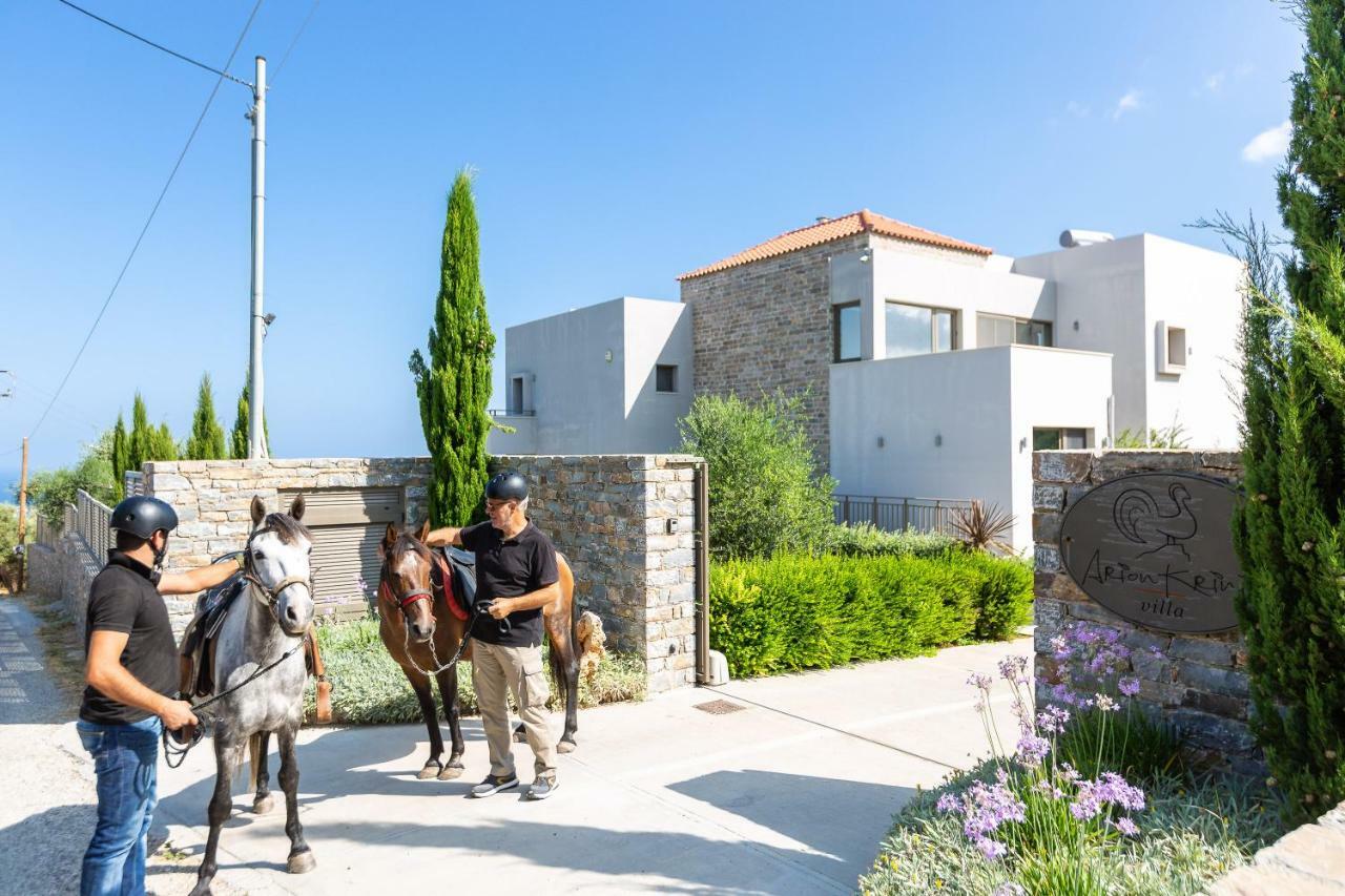 Arion Krini Villa Amnátos Kültér fotó